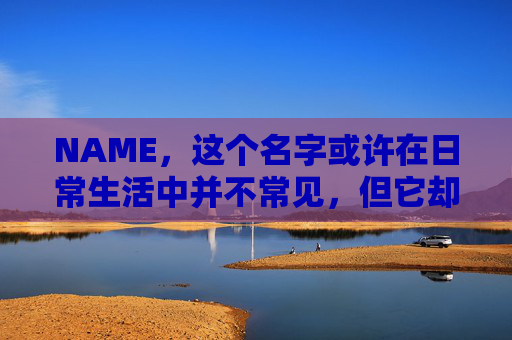 NAME，这个名字或许在日常生活中并不常见，但它却在某些领域里扮演着重要的角色。今天，让我们一起来探索这个名字背后的故事和意义